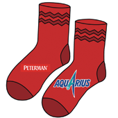 Les_Chaussettes